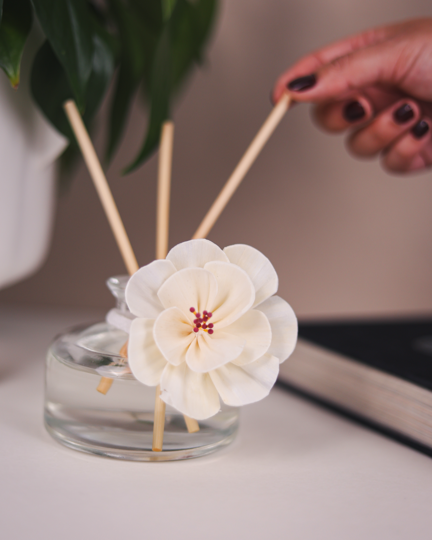 Home Fragrance Diffusers